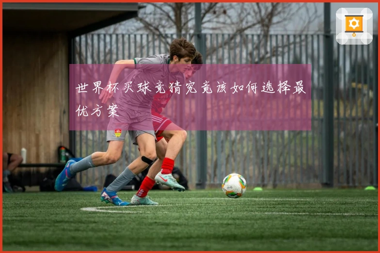 世界杯买球竞猜究竟该如何选择最优方案