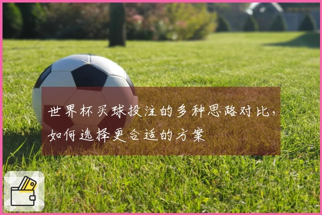 世界杯买球投注的多种思路对比，如何选择更合适的方案