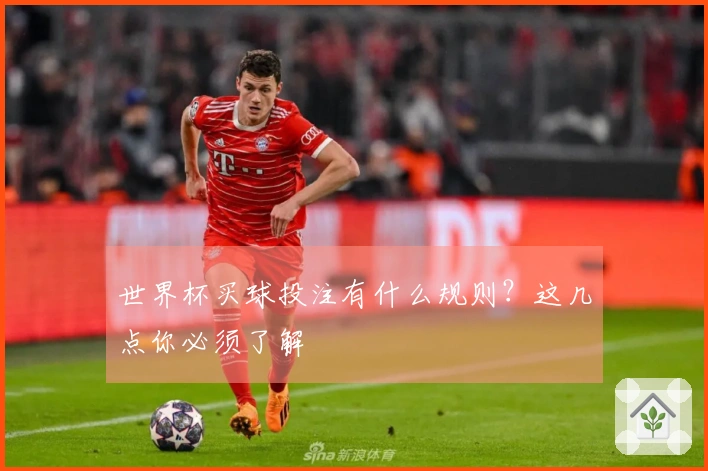 世界杯买球投注有什么规则？这几点你必须了解