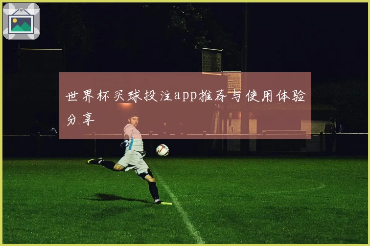 世界杯买球投注app推荐与使用体验分享