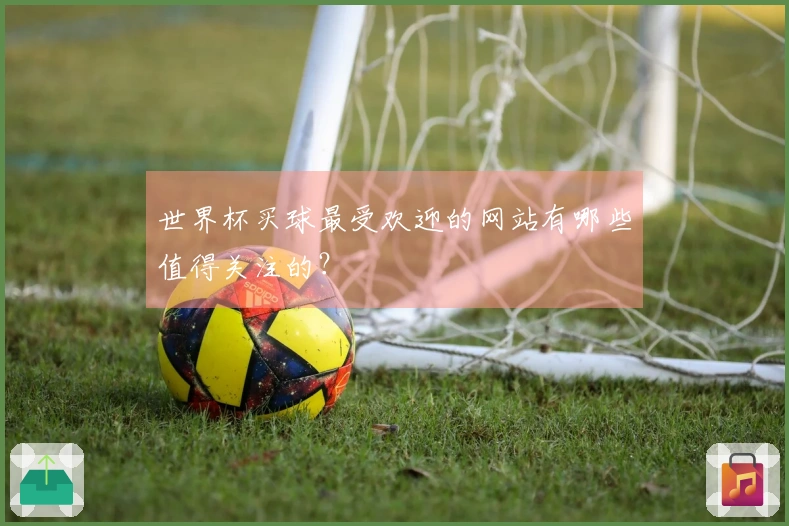 世界杯买球最受欢迎的网站有哪些值得关注的？