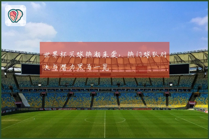 世界杯买球热潮来袭，热门球队对决与潜力黑马一览