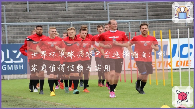 世界杯滚球买球平台选择指南：哪家更值得信赖与实用