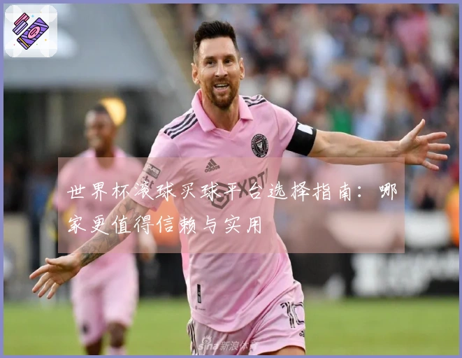 世界杯滚球买球平台选择指南：哪家更值得信赖与实用
